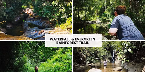 Waterfall & Evergreen rainforest Trail