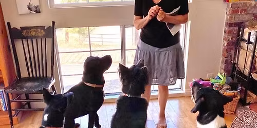 What's Your Animal's Problem: Animal Readings & EFT Demonstration  |  In-person