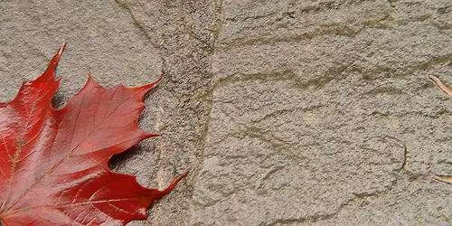 Talking About Death Won't K*ll You