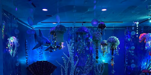 Washed Ashore Jelly Bloom Immersive Experience