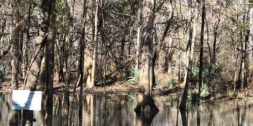 Palmetto Swamp Fox Adventure Race