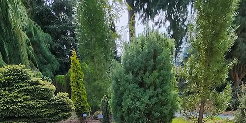 Free Perennial Path Walk & Talk Series: Spring Bloomers