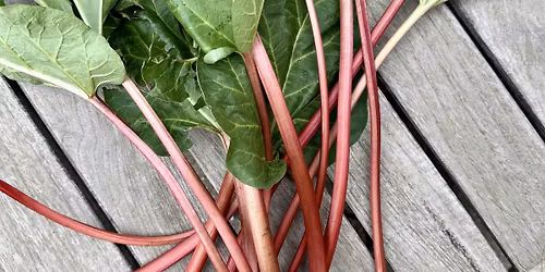 Cooking with Rhubarb: More Than Just Jam