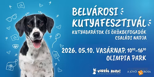 Belv\u00e1rosi kutyafesztiv\u00e1l