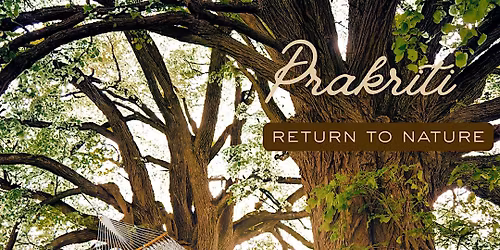 Prakriti: Return to Nature | A Hammock Sound Bath Experience