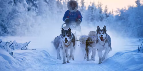 ALASKA DOG SLEDDING SIDE QUEST!!