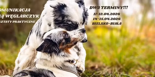 KOMUNIKACJA Z Ann\u0105 W\u0119glarczyk ( warsztaty praktyczne)