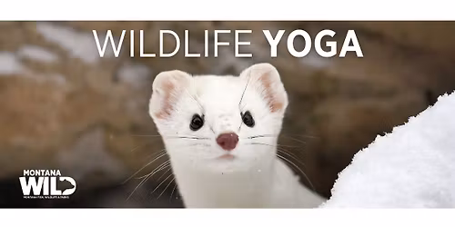 Wildlife Yoga: Tracks