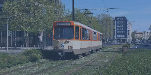 Osterhasen-Express 2026