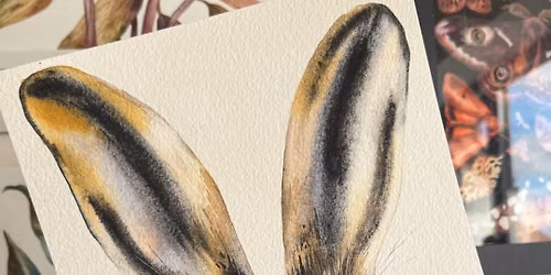 Hare Watercolour Workshop with Rita Gould 