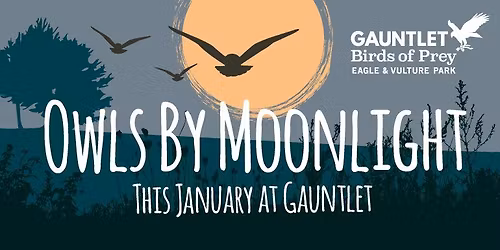 *SOLD OUT* Owls By Moonlight Evening, Saturday 31st January 2026