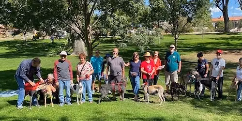 GALT New Mexico's Great Global Greyhound Walk