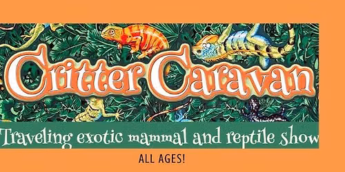 Critter Caravan- Traveling exotic mammal and reptile show!