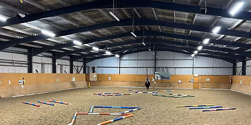 Fun Christmas Pole Clinic - members only