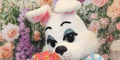 Pet Portraits with the Easter Bunny