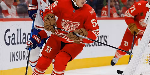 Clarkson Golden Knights vs. Brown Bears