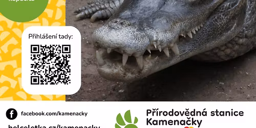 Komentovan\u00e9 krmen\u00ed kajman\u016f