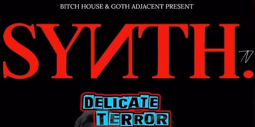 SYNTH Vol 3: Delicate Terror Party by Georgi + Shok
