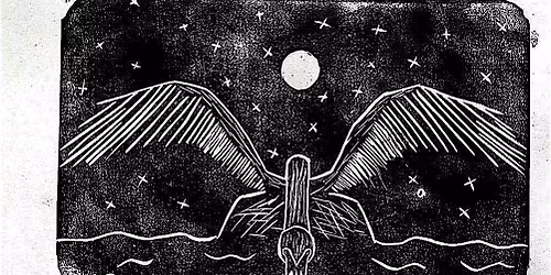 Black Swan Events Concert