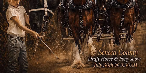 Seneca County Draft Horse and Pony Show