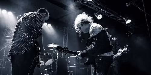 The Cureheads + Siouxsie and the Budgies