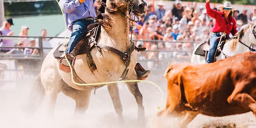Winchester Rodeo