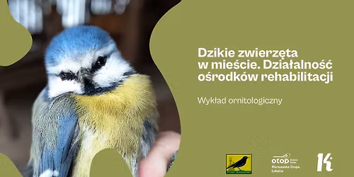 Dzikie zwierz\u0119ta w mie\u015bcie. Dzia\u0142alno\u015b\u0107 o\u015brodk\u00f3w rehabilitacji \u2013 wyk\u0142ad ornitologiczny