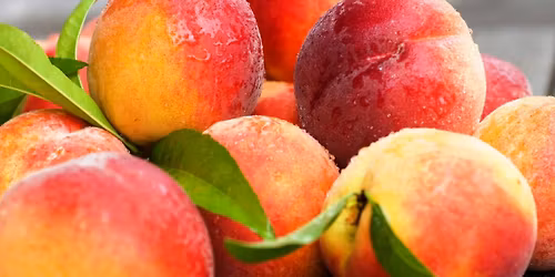 Graves Mountain Peach Day Festival