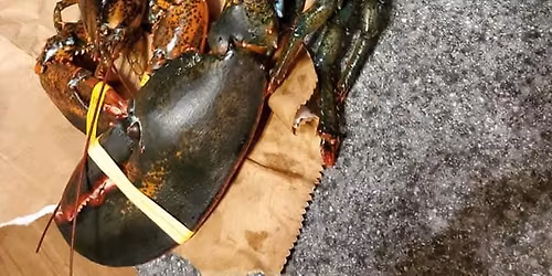 lobster/clam bake