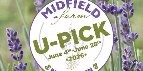 2026 U-Pick at Midfield Lavender Farm