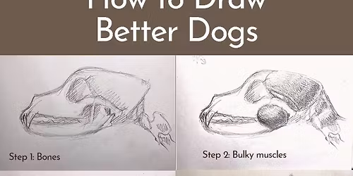 HOW TO DRAW ANIMALS WORKSHOP SERIES #4