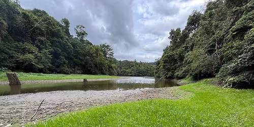 \u0e40\u0e14\u0e34\u0e19\u0e1b\u0e48\u0e32 \u0e01\u0e34\u0e19\u0e02\u0e49\u0e32\u0e27\u0e40\u0e17\u0e35\u0e48\u0e22\u0e07 \u0e1f\u0e31\u0e07\u0e40\u0e2a\u0e35\u0e22\u0e07\u0e19\u0e01