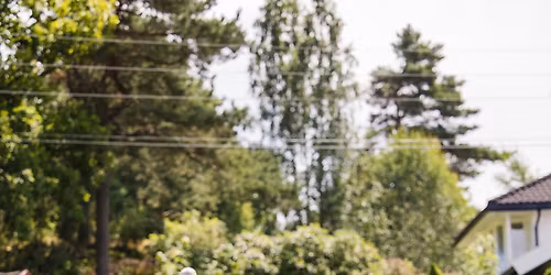 Fri ved fot (5 kvelder)