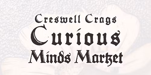 Curious Minds Market