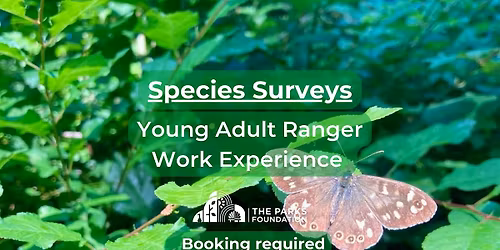 Species Surveys - Young Adult Ranger Work Experience at Alexandra Park