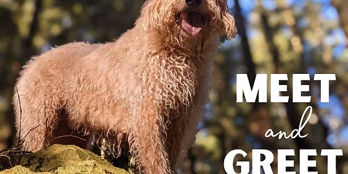 Bob the Dog Meet and Greet 