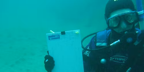 Seasearch Surveys 18th September 2026 (2103 + 37040)