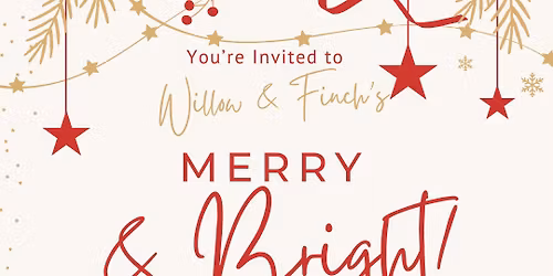 Willow and Finch's Merry and Bright Family Night!