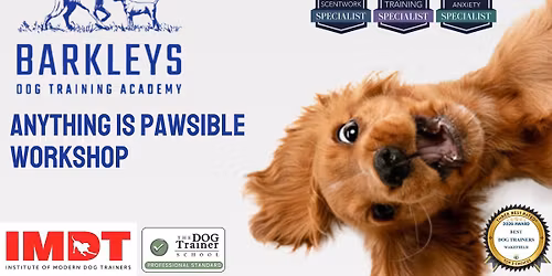 Anything Is PAWsible Workshop