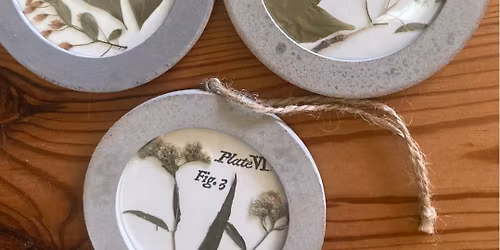 Botanical Ornament Workshop 11\/15