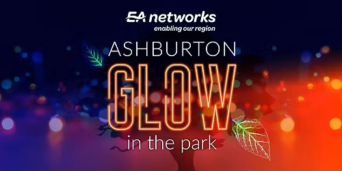 EA Networks Glow in the Park