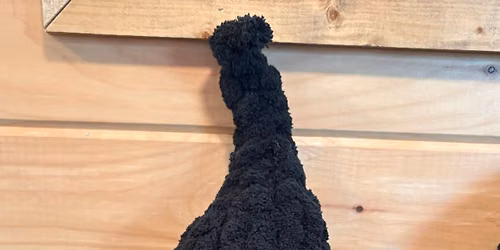 Finger Knitted pumpkin w\/witch hat @ the Straight Farmhouse Museum