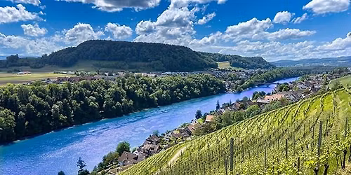 Corso sul Riesling Roma