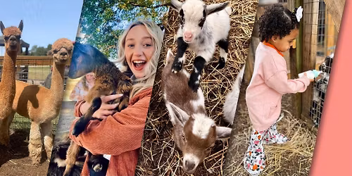 Baby Animal Days at Trunnell's Farm Experience!