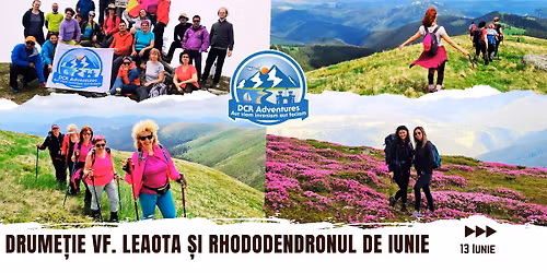 Drume\u021bie Vf. Leaota \u0219i rhododendronul de Iunie