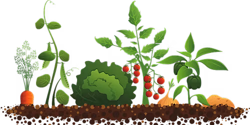 2026 Healthy Living\/Garden Club