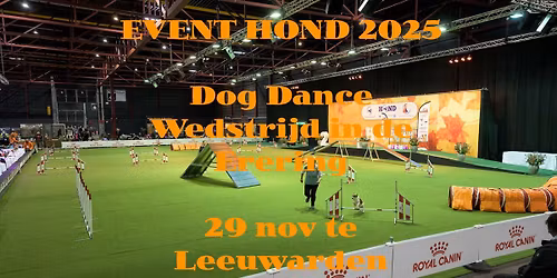 HOND 2025 Dog Dance Wedstrijd