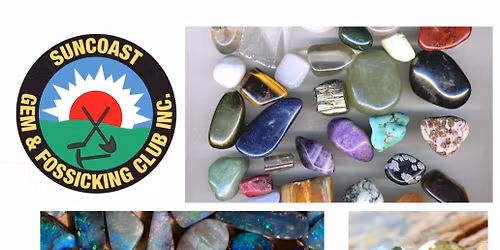 Suncoast Gem Club Gem show