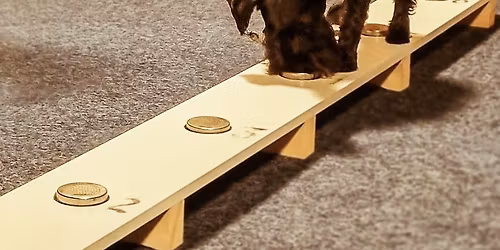 Dobbelstevne i Smeller klasse 2, personlukt og Kong