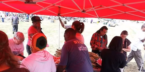 Fridays at the Market